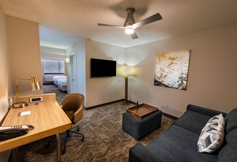 套房, Springhill Suites Houston Medical Center / Nrg Park