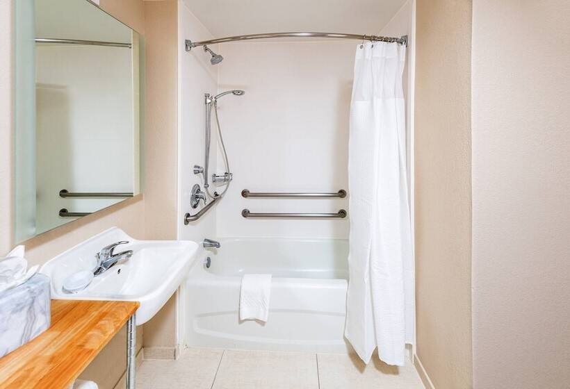 Люкс, Springhill Suites Houston Medical Center / Nrg Park