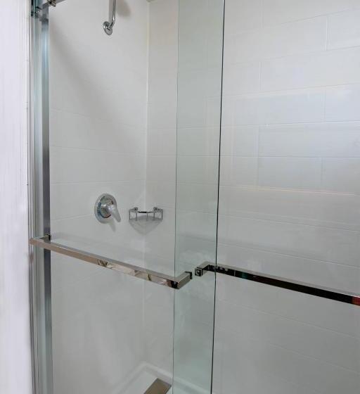 带大床的套房, Springhill Suites Houston Medical Center / Nrg Park