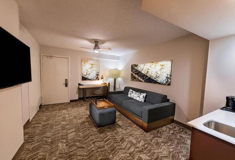 Люкс Кровать Кинг, Springhill Suites Houston Medical Center / Nrg Park