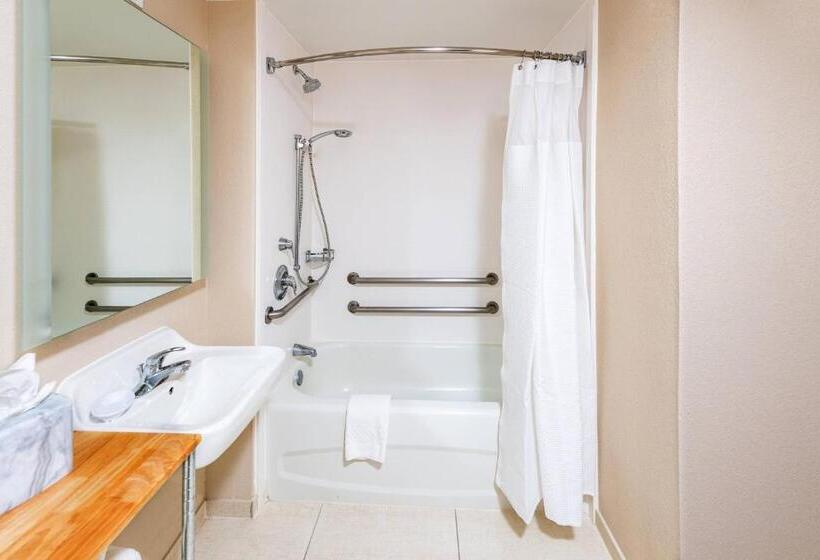 Люкс, Springhill Suites Houston Medical Center / Nrg Park