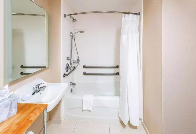 スイート, Springhill Suites Houston Medical Center / Nrg Park