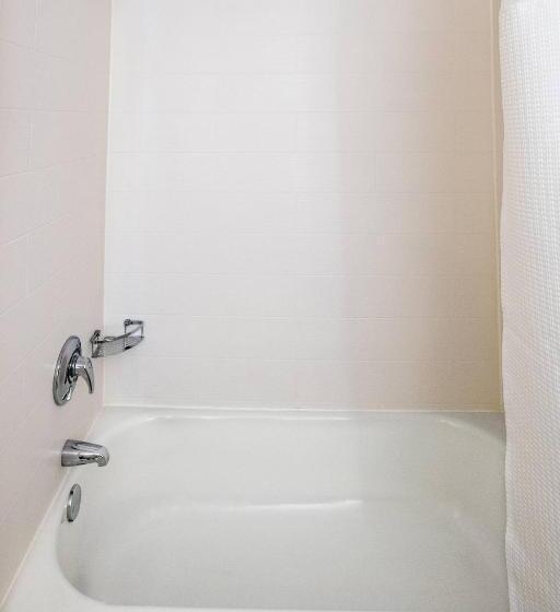 套房, Springhill Suites Houston Medical Center / Nrg Park