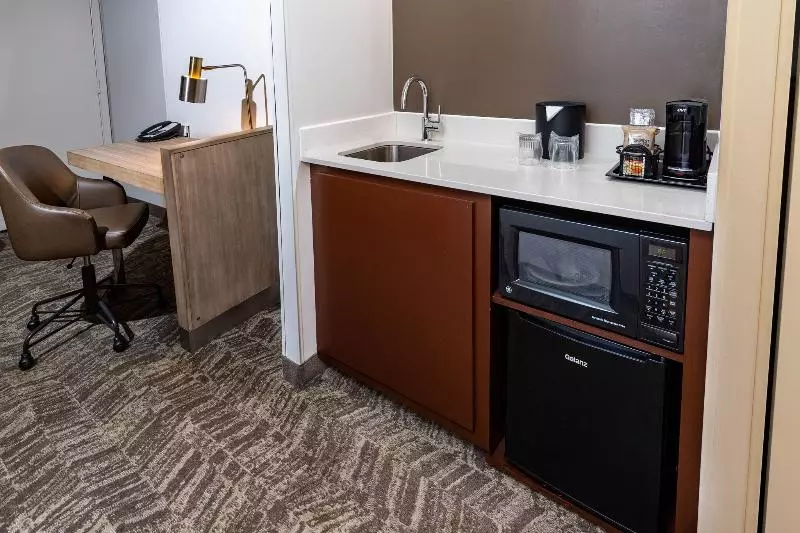 キングサイズベッドのスイートルーム, Springhill Suites Houston Medical Center / Nrg Park