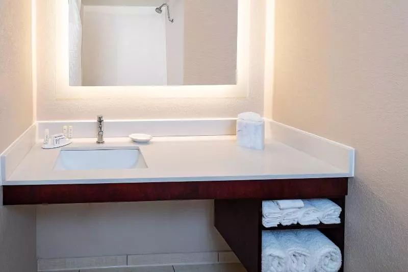 キングサイズベッドのスイートルーム, Springhill Suites Houston Medical Center / Nrg Park