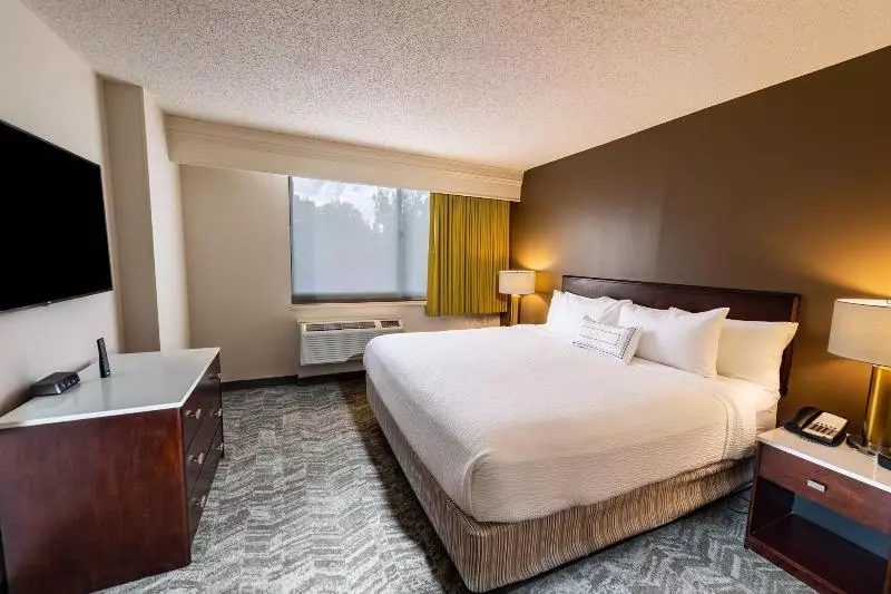 キングサイズベッドのスイートルーム, Springhill Suites Houston Medical Center / Nrg Park