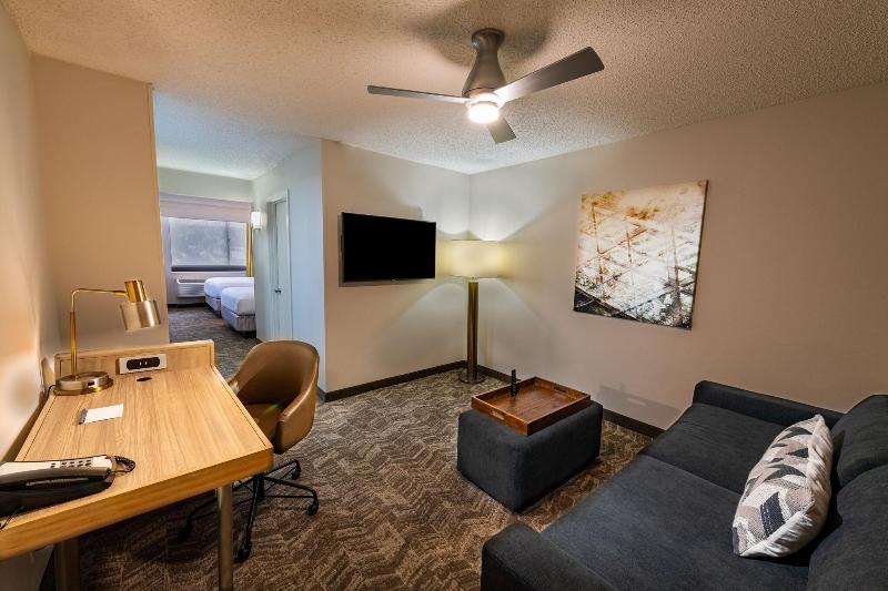 Люкс Кровать Кинг, Springhill Suites Houston Medical Center / Nrg Park