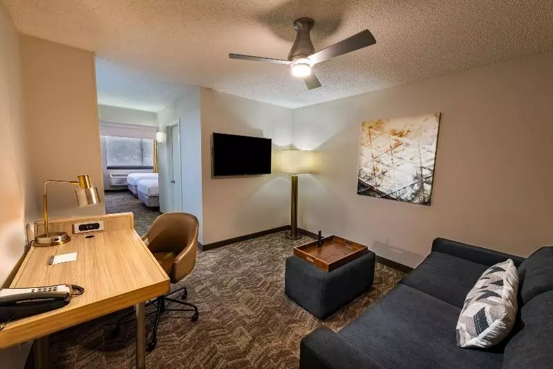 キングサイズベッドのスイートルーム, Springhill Suites Houston Medical Center / Nrg Park