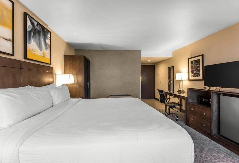 غرفة قياسية سرير كينج, Voco Laguna Hills