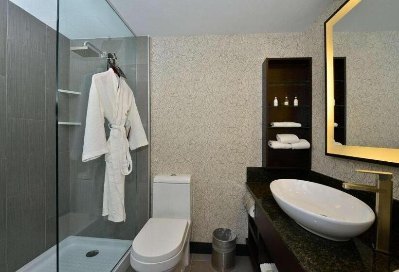 غرفة قياسية, Voco Laguna Hills