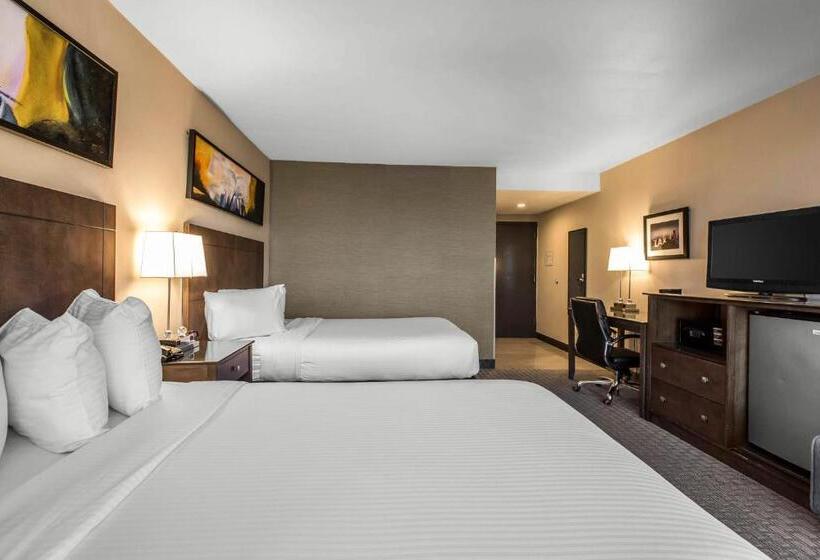 غرفة قياسية سرير كينج لذوى الإحتياجات الخاصة, Voco Laguna Hills