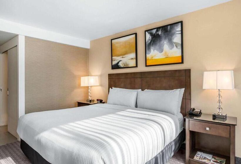 غرفة قياسية سرير كينج لذوى الإحتياجات الخاصة, Voco Laguna Hills