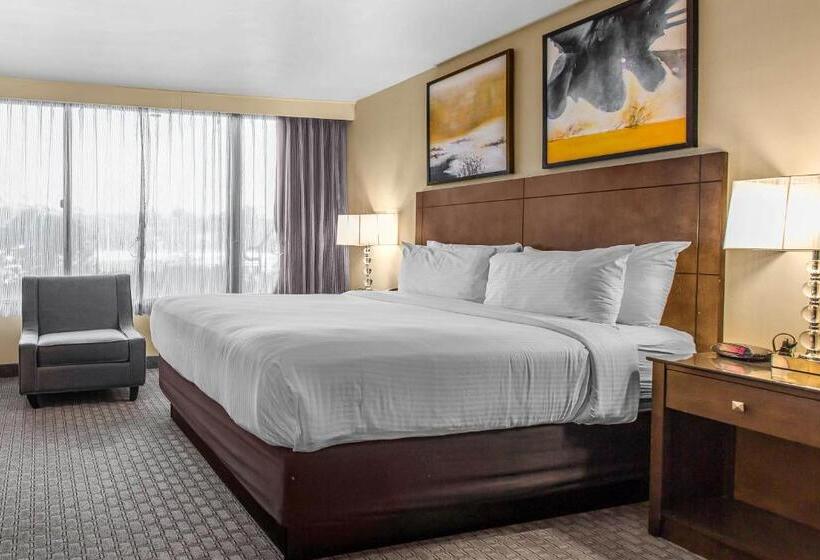 غرفة قياسية سرير كينج لذوى الإحتياجات الخاصة, Voco Laguna Hills