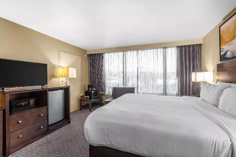 اتاق استاندارد با تخت بزرگ, Voco Laguna Hills