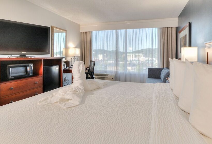 اتاق لوکس با تخت بزرگ, The Ramsey Hotel And Convention Center