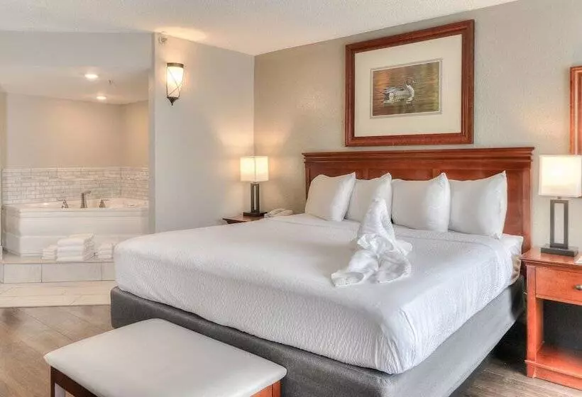 Mini Suite, The Ramsey Hotel And Convention Center Pigeon Forge