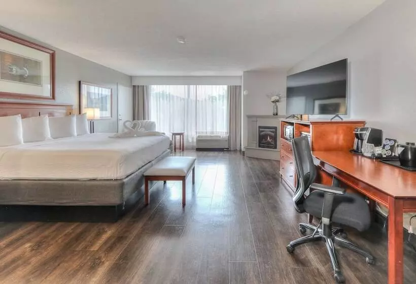 Mini Suite, The Ramsey Hotel And Convention Center Pigeon Forge