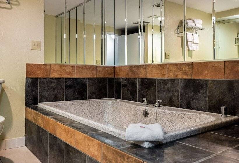 Номер Deluxe, Red Carpet Inn & Suites