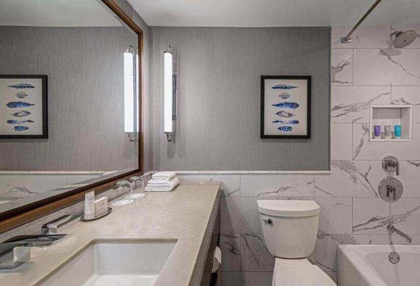 带大床的标准间, Boston Marriott Long Wharf