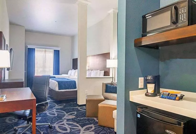身障者適用スイートルーム, Comfort Inn & Suites Oklahoma City South I 35