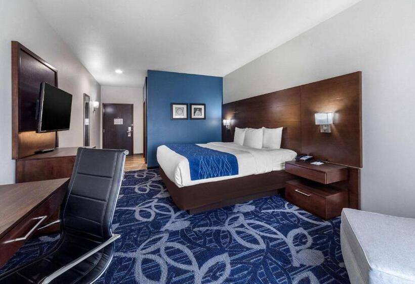 Стандартный Номер Кровать Кинг, Comfort Inn & Suites Oklahoma City South I 35