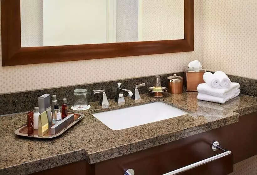 ２ダブルベッドのスタンダードルーム, Detroit Marriott Livonia