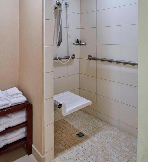 غرفة قياسية سرير كينج, Detroit Marriott Livonia