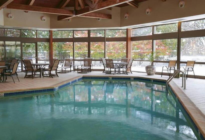 غرفة إدارية سرير كينج, Detroit Marriott Livonia