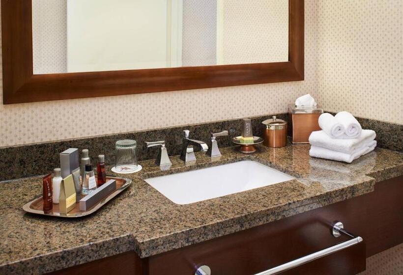 غرفه قياسيه سريرين مزدوجين, Detroit Marriott Livonia