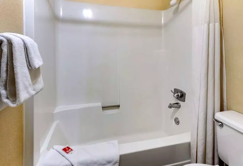 اتاق استاندارد با 2 تخت دوبل, Econo Lodge Billings