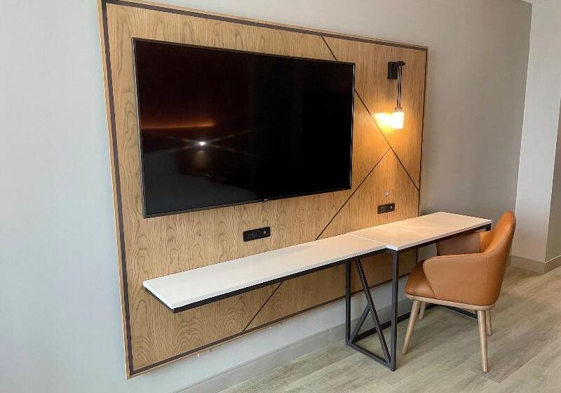 스탠다드 룸 킹사이즈 침대, Houston Marriott North