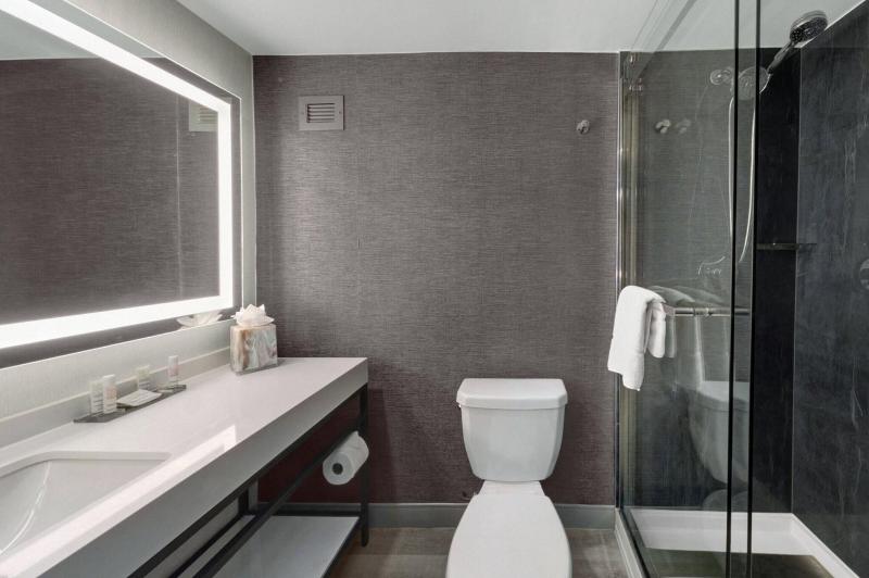 스탠다드 룸 킹사이즈 침대, Houston Marriott North