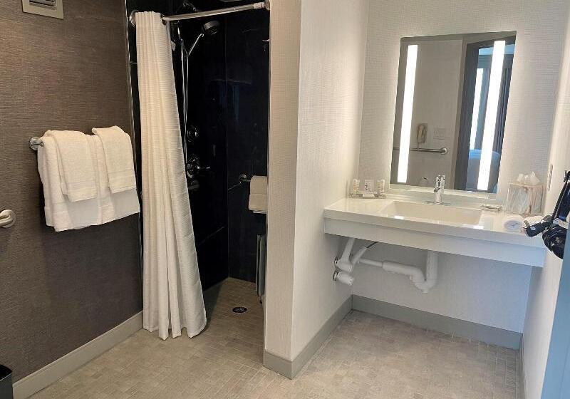 스탠다드 룸 킹사이즈 침대, Houston Marriott North