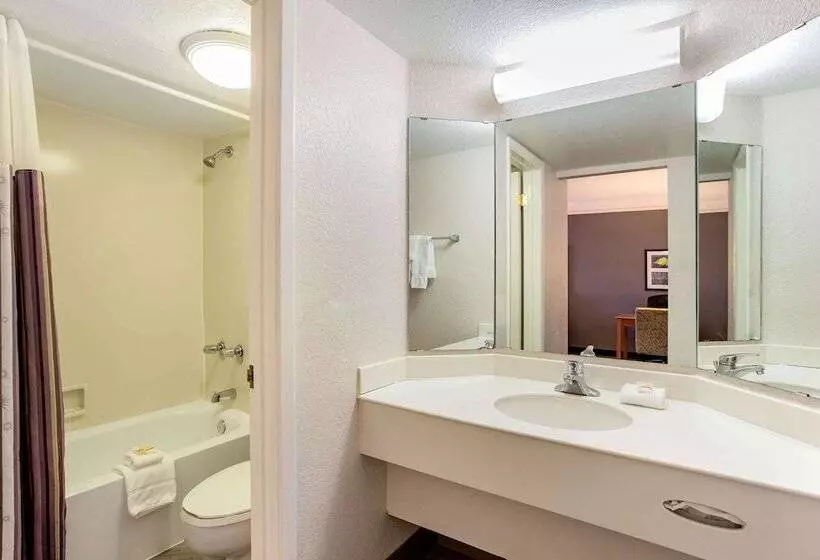 اتاق استاندارد با 2 تخت دوبل, La Quinta Inn By Wyndham Champaign