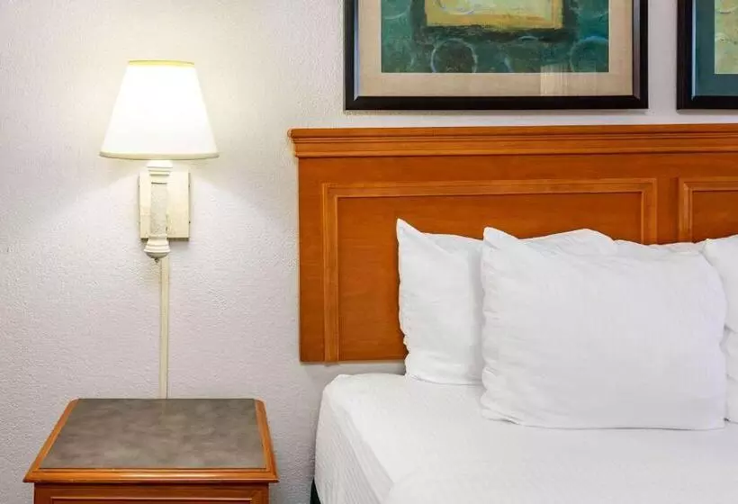 身障者適用キングサイズベッドルーム, La Quinta Inn By Wyndham El Paso West