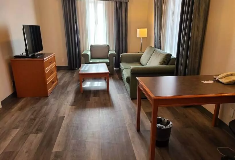 デラックススイート, La Quinta Inn By Wyndham Farmington