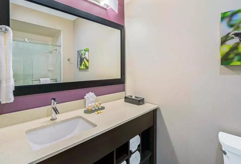 اتاق استاندارد با تخت بزرگ, La Quinta By Wyndham Mcallen La Plaza Mall
