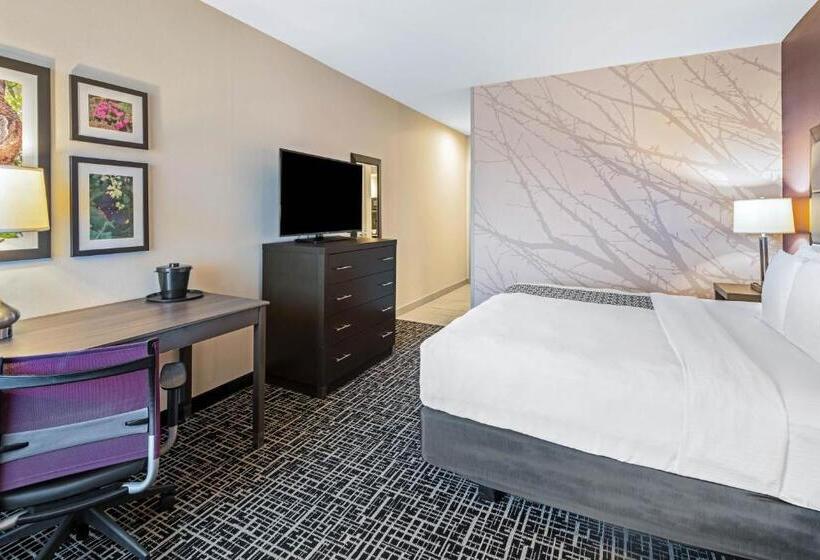 身障者適用キングサイズベッドルーム, La Quinta By Wyndham Mcallen La Plaza Mall