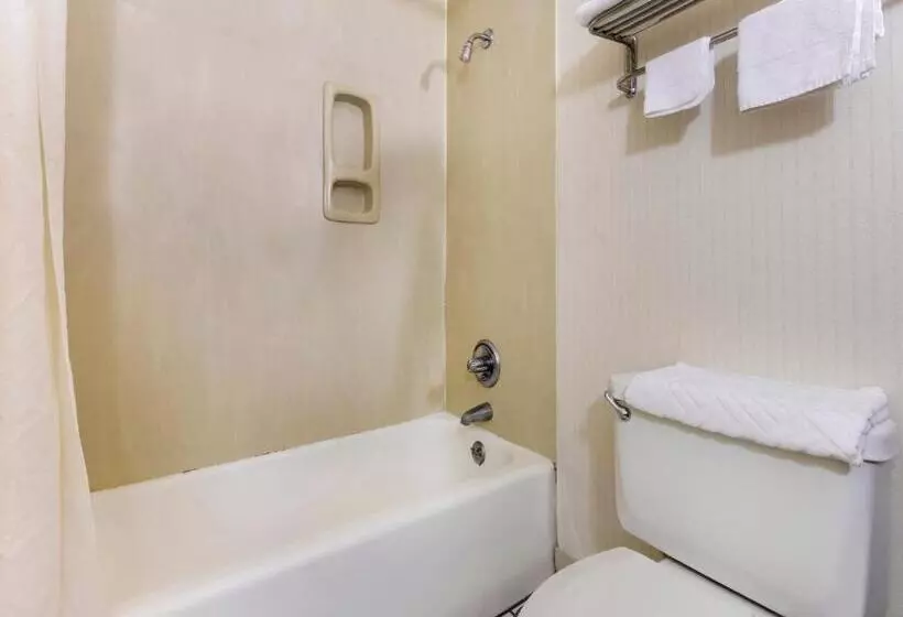 اتاق لوکس, Mansion View Inn & Suites
