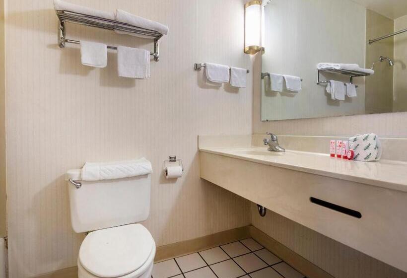 Deluxe Szoba, Mansion View Inn & Suites