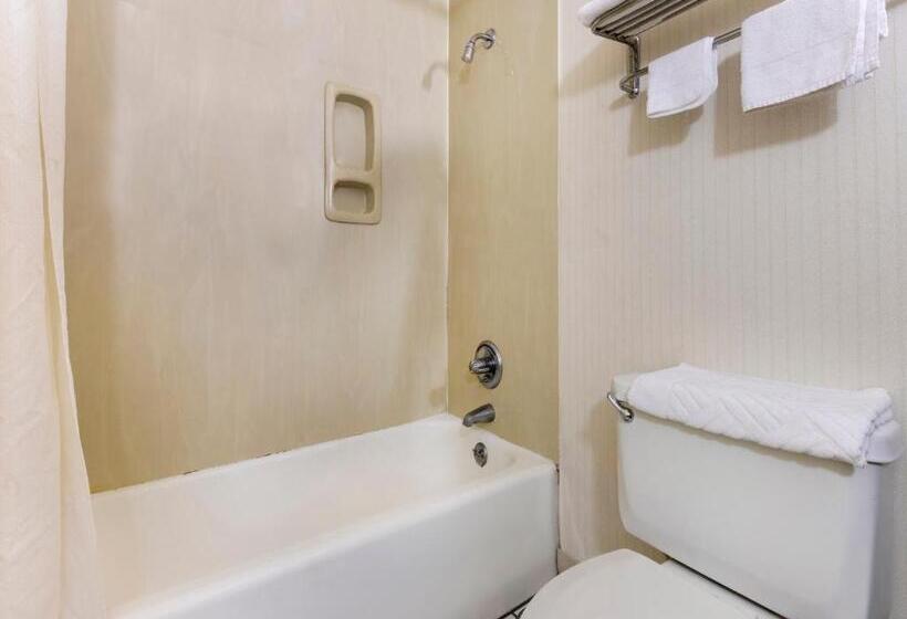 Номер Стандарт 2 Двуспальные Кровати, Mansion View Inn & Suites