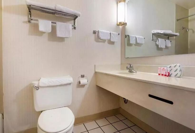 اتاق استاندارد با 2 تخت دوبل, Mansion View Inn & Suites