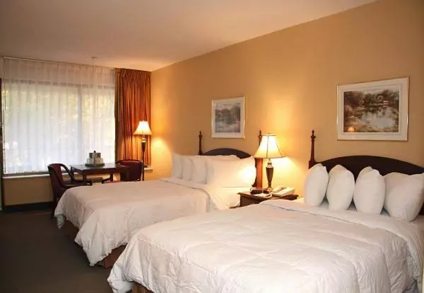 اتاق استاندارد با 2 تخت دوبل, Mansion View Inn & Suites