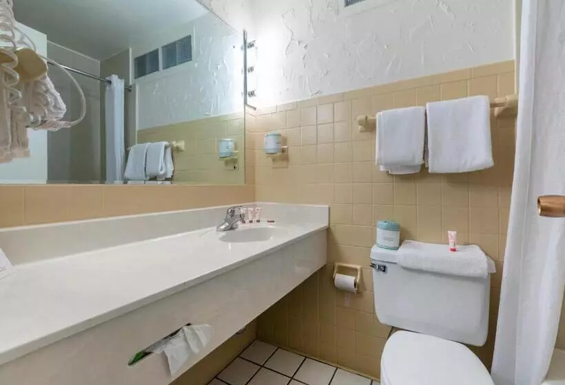 سوئیت 2 خوابه, Mansion View Inn & Suites