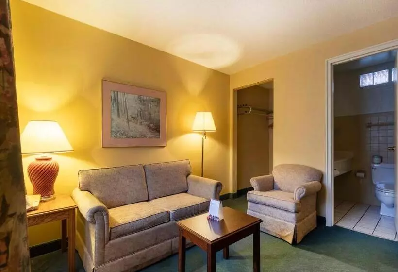 سوئیت 2 خوابه, Mansion View Inn & Suites