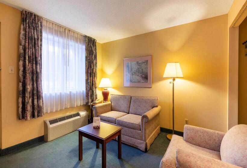 2 Szobás Suite, Mansion View Inn & Suites