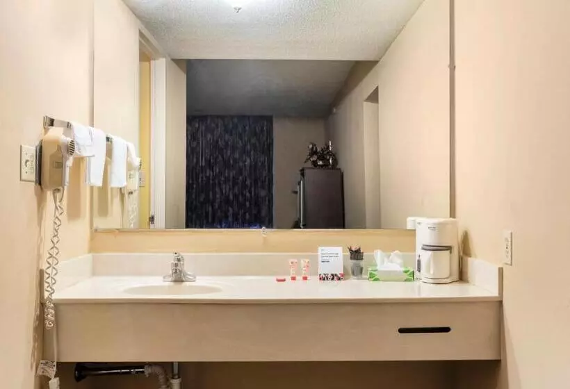 سوئیت با وان آب گرم, Mansion View Inn & Suites