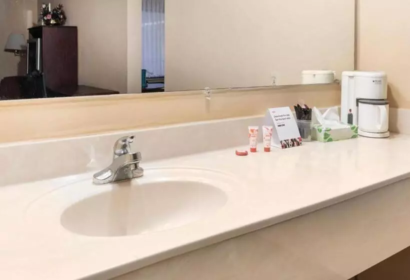 سوئیت با وان آب گرم, Mansion View Inn & Suites