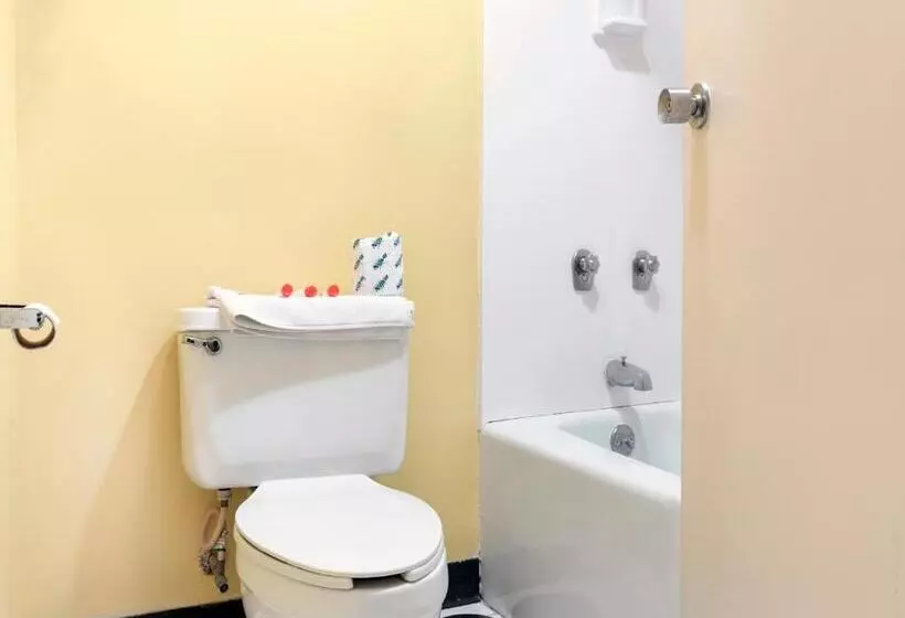 سوئیت با وان آب گرم, Mansion View Inn & Suites
