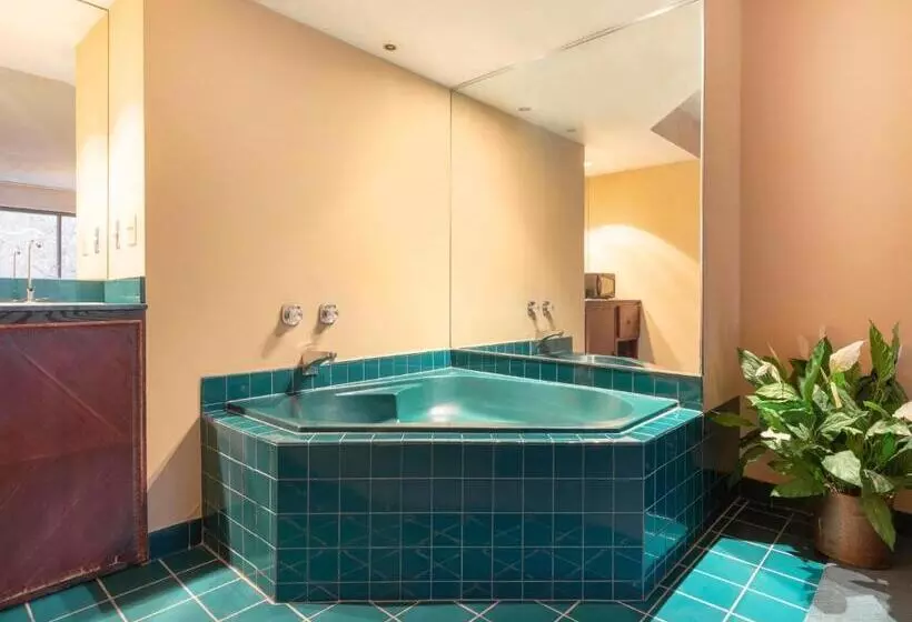 سوئیت با وان آب گرم, Mansion View Inn & Suites